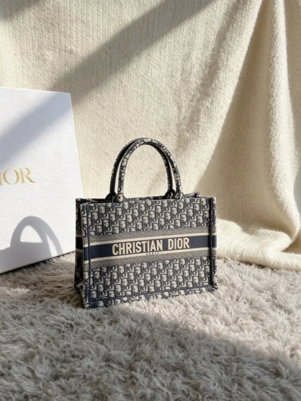 Dior Navy and Cream Book Tote with Logo Panel